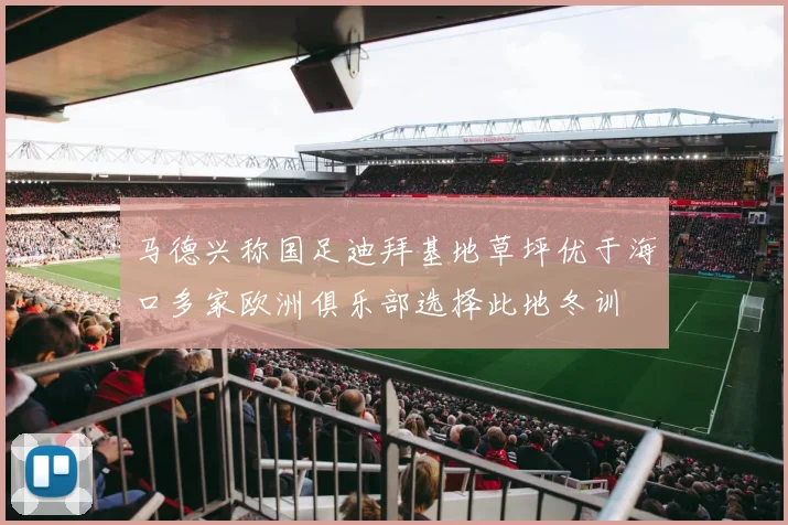 马德兴称国足迪拜基地草坪优于海口多家欧洲俱乐部选择此地冬训